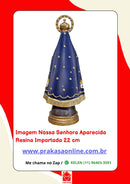 Imagem Nossa Senhora Aparecida Resina Importada 22 cm