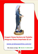 Imagem Nossa Senhora da Medalha Milagrosa Resina Importada 22 cm