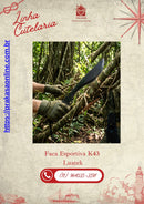 Faca Esportiva Kukri Luatek K43