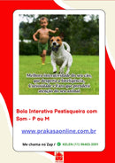 Bola Brinquedo Cães Cachorro Pet Porta Petisco