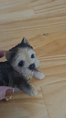 Enfeite de Resina Yorkshire Deitado